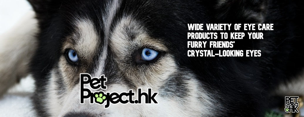 Pets' Eye Care products on PetProject.HK