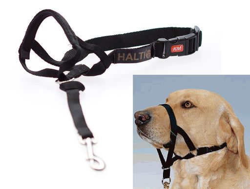 Halti - Head Collar Black - PetProject.HK