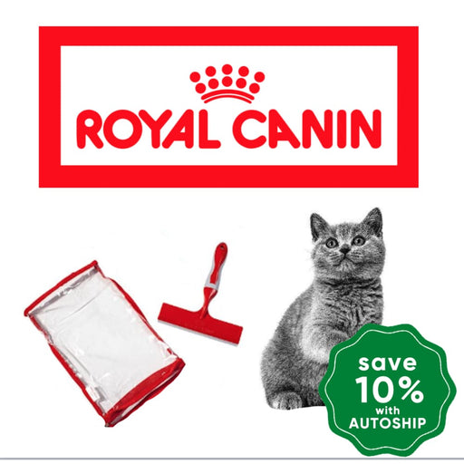 Royal Canin - Hairball Care Kit Cats