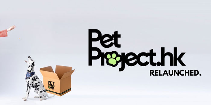 PetProject.HK, Relaunched: New Features