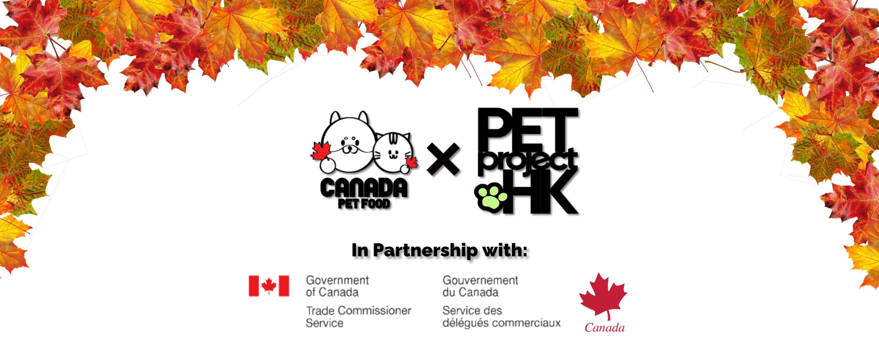 Announcement: Marketing Campaign for the Canadian Consulate of Hong Kong