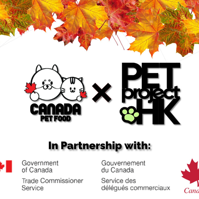 Announcement: Marketing Campaign for the Canadian Consulate of Hong Kong