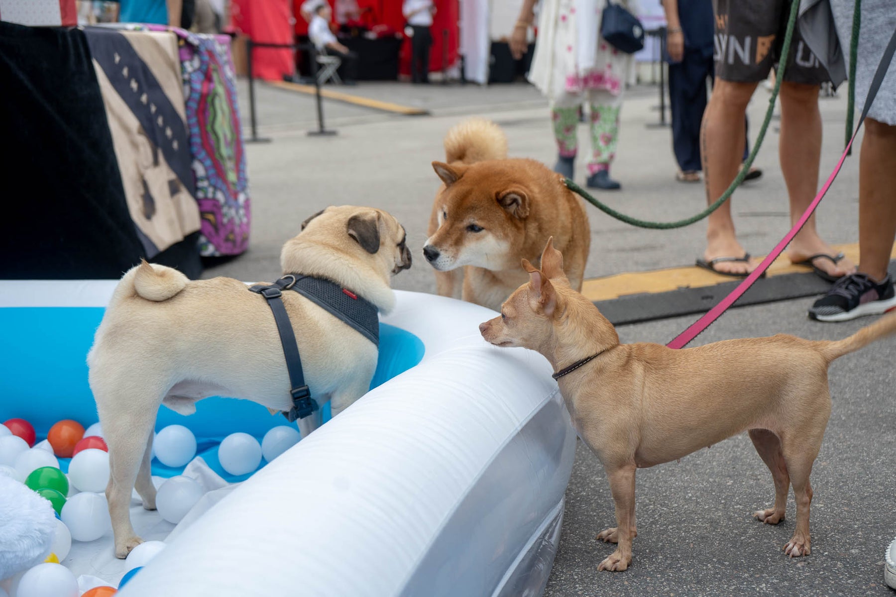 A Quick Recap of Our Website Relaunch Party @ IRIS