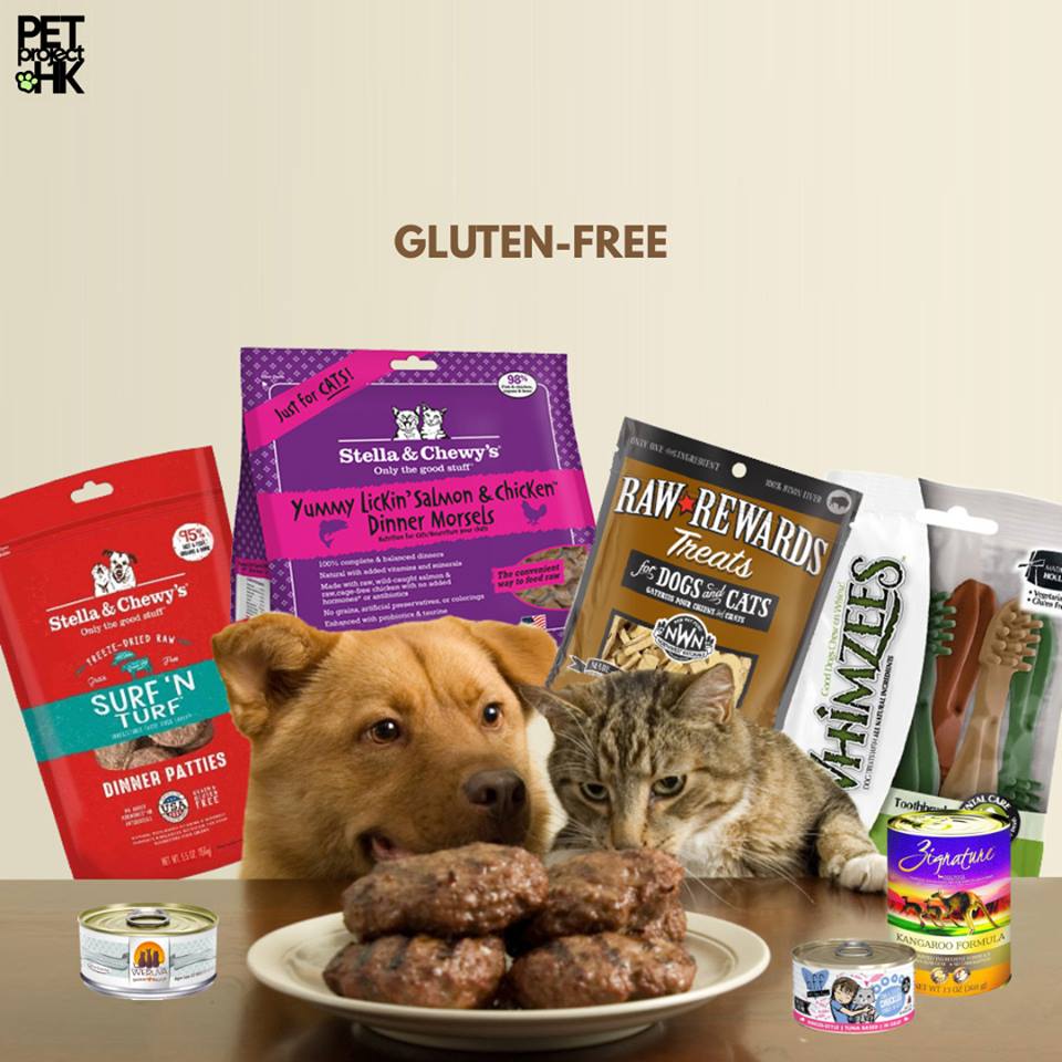 PetProject University: Gluten-Free (無麩質) Pet Food - Why?