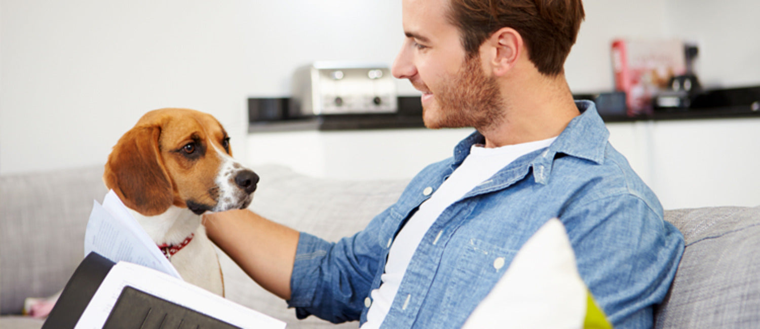 Looking For Pet-Sitters in Hong Kong?