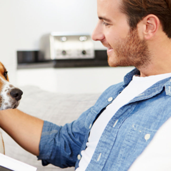 Looking For Pet-Sitters in Hong Kong?