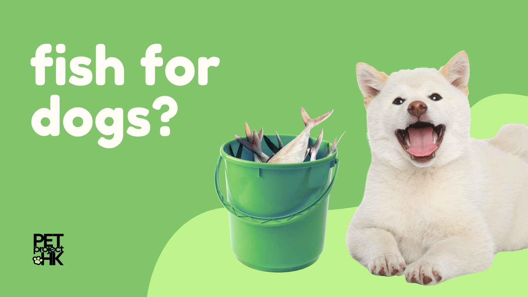 Should Dogs Eat Fish Based Products?