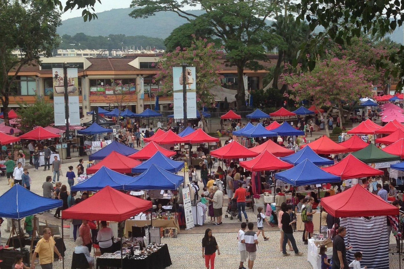 DB Sunday Market - Huge Success!