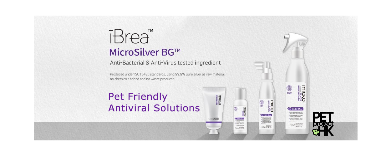 Ibrea iBrea 和 Microsilver - 寵物友善家用抗病毒抗菌產品 – PetProject.HK