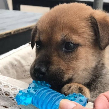 We now offer free deliveries to ALL Outlying Islands