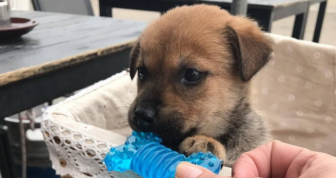 We now offer free deliveries to ALL Outlying Islands