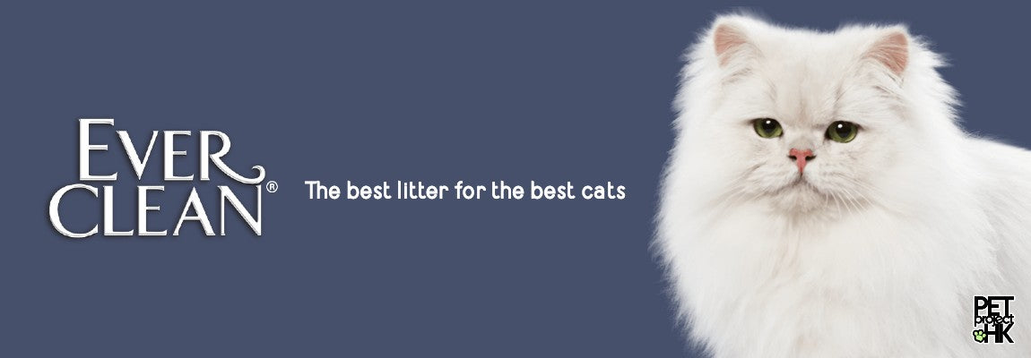 Ever Clean cat litter on PetProject.HK