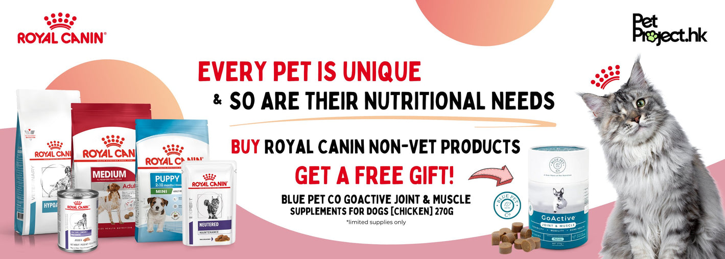 Royal canin store dog food coupons