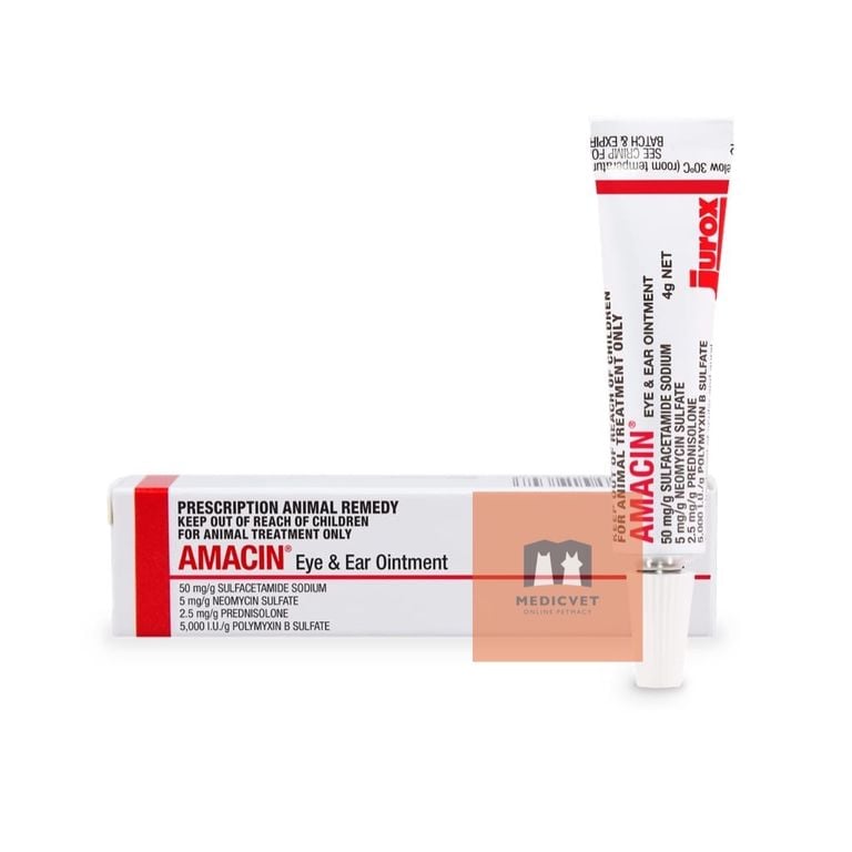 Amacin Eye & Ear Ointment - 4G