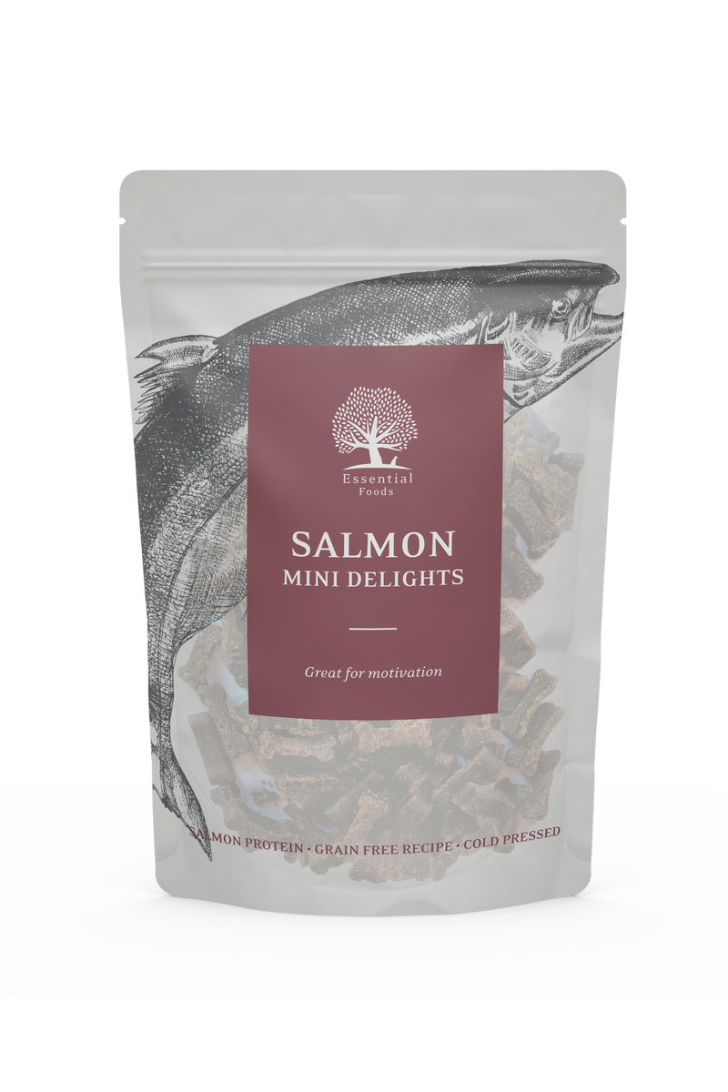 Essential Foods - Dried Treats For Dogs Salmon Mini Delights 100G