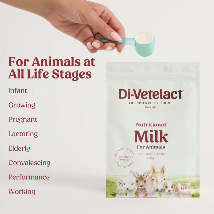 Di-Vetelact Nutritional Milk For Animals (450g Pouch) - PetProject.HK
