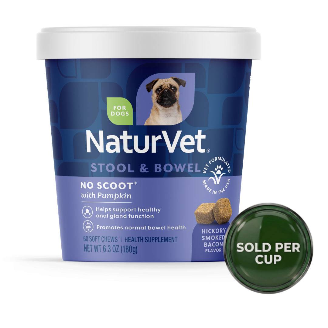 NaturVet No Scoot Plus Pumpkin - Soft Chew Cup for Dogs - 60 chews - 1 Cup