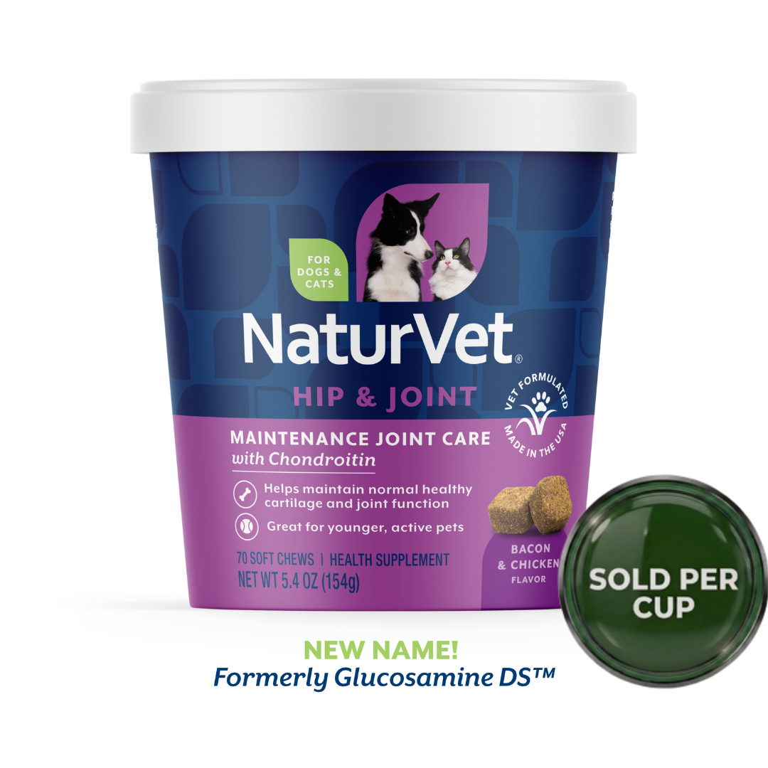 NaturVet Glucosamine DS - Soft Chew Cup for Dogs - 70 chews - 1 Cup