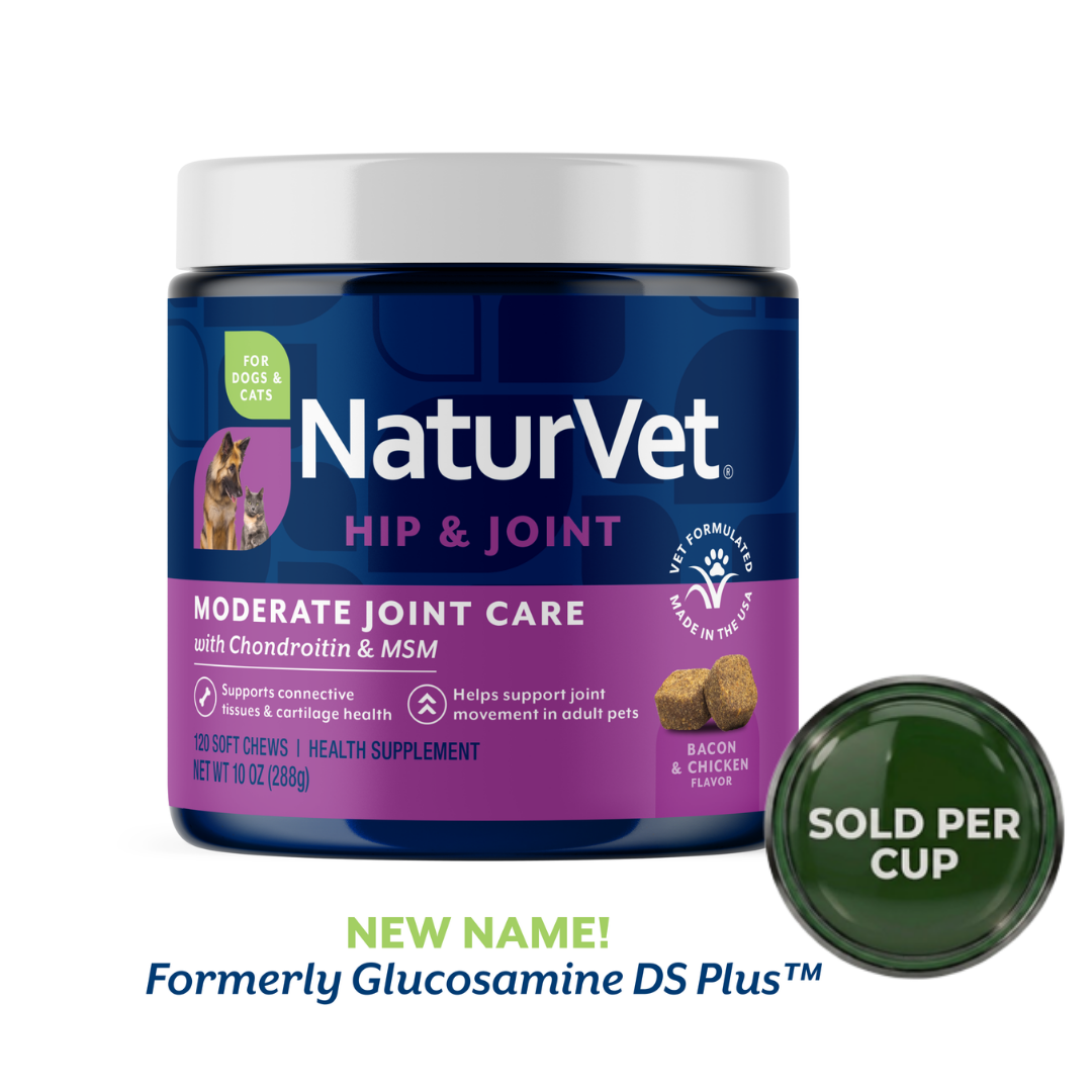 NaturVet Glucosamine DS Plus - Soft Chew Cup for Dogs - 70's - 1 Cup