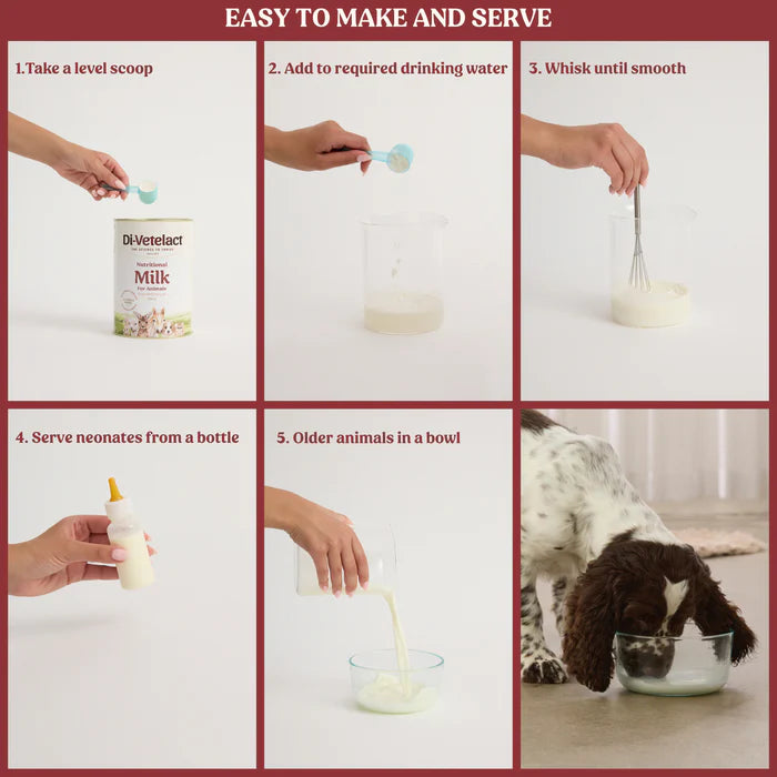Di-Vetelact Nutritional Milk For Animals (450g Pouch) - PetProject.HK