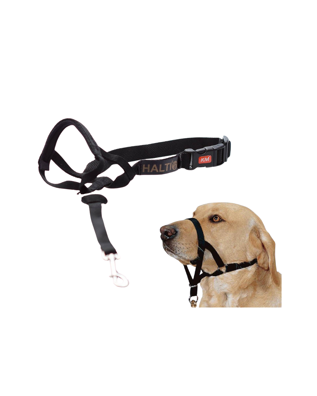 Halti - Head Collar Black - PetProject.HK