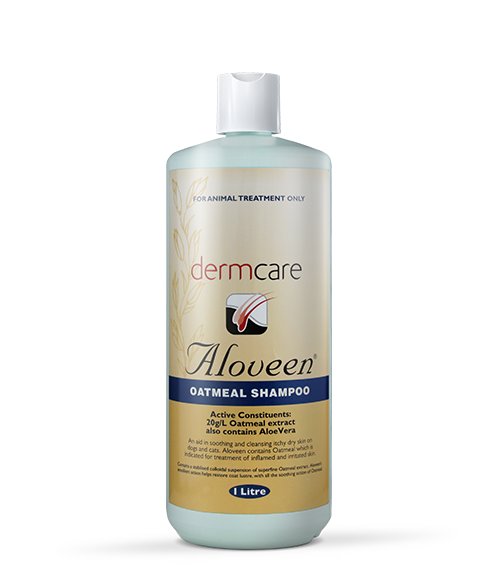 Dermcare-Vet - ALOVEEN Shampoo - 1000ML - PetProject.HK