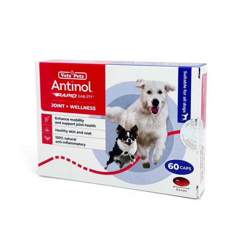 Antinol® Rapid for dogs - 60 Capsule