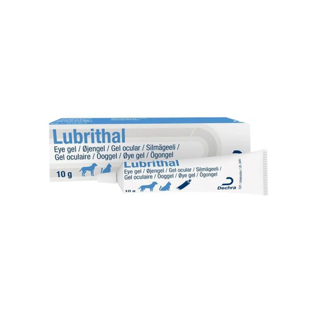 Dechra - Lubrithal Eye Gel for Cats & Dogs - 15G - PetProject.HK