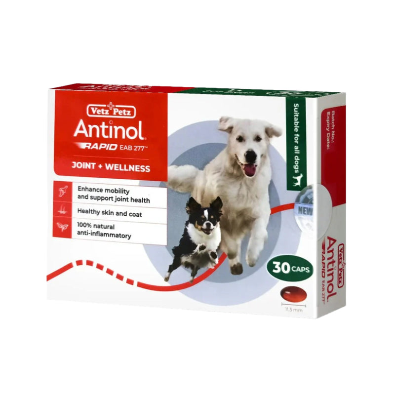 Antinol® Rapid for dogs - 30 Capsule