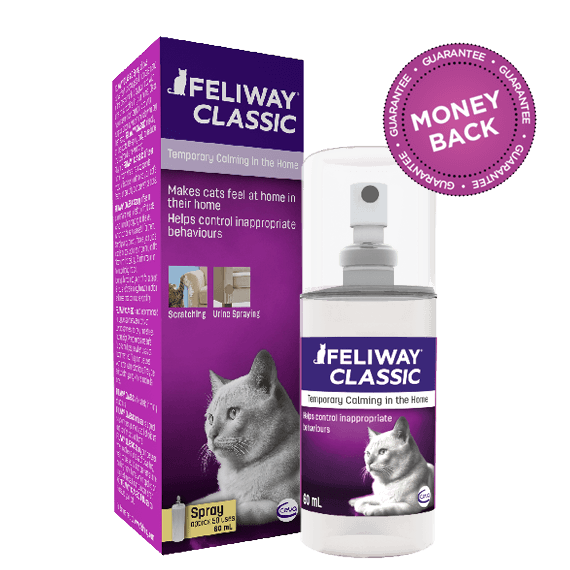 Feliway - Spray for Cats - 60ML - PetProject.HK