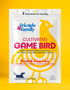 A package of Friends & Family pet food, specifically 'Cultivated Game Bird Teeth & Gum Care' freeze-dried dog treats, shown against a solid yellow background.