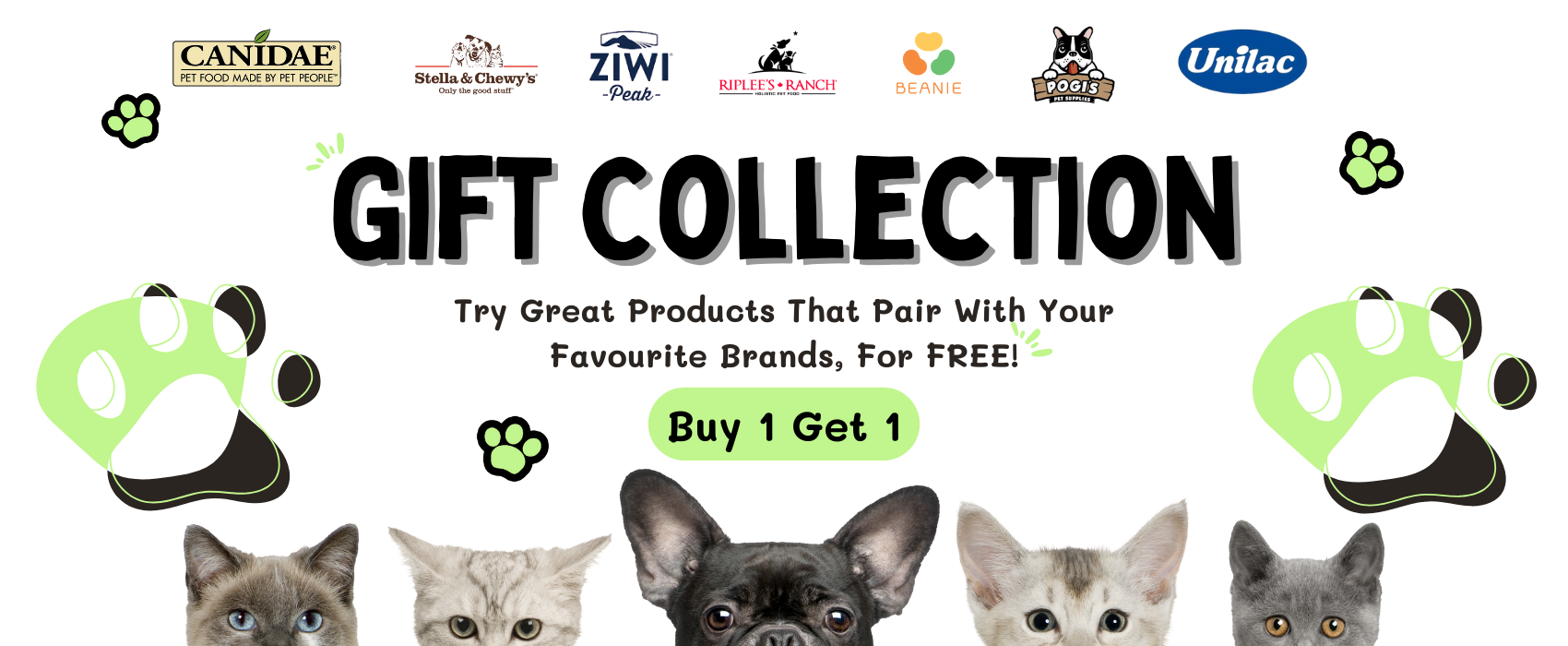 PetProject.HK Things for Pets Delivered