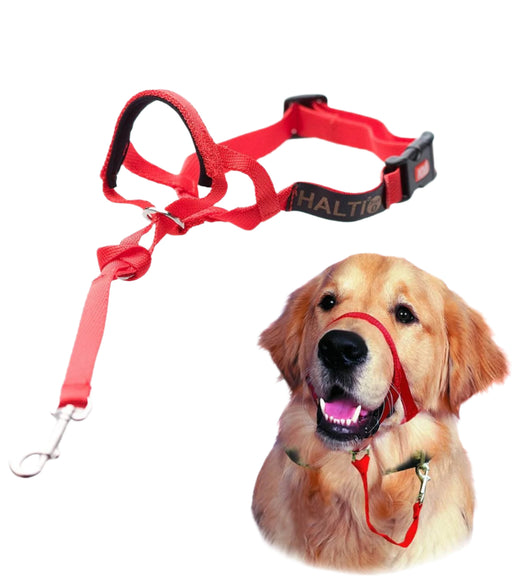 Halti - HeadCollar Red - PetProject.HK