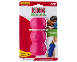 Kong - Genius Mike - Small - PetProject.HK