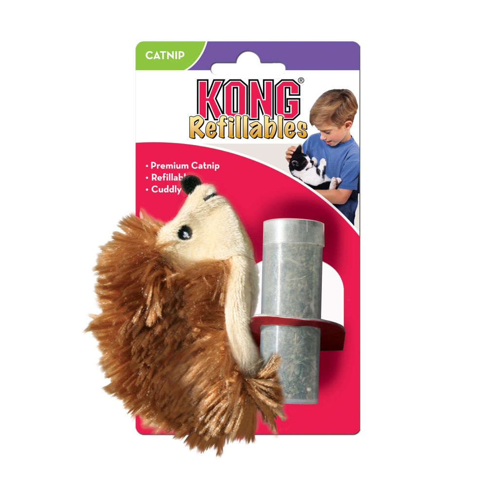 Kong - Hedgehog - PetProject.HK