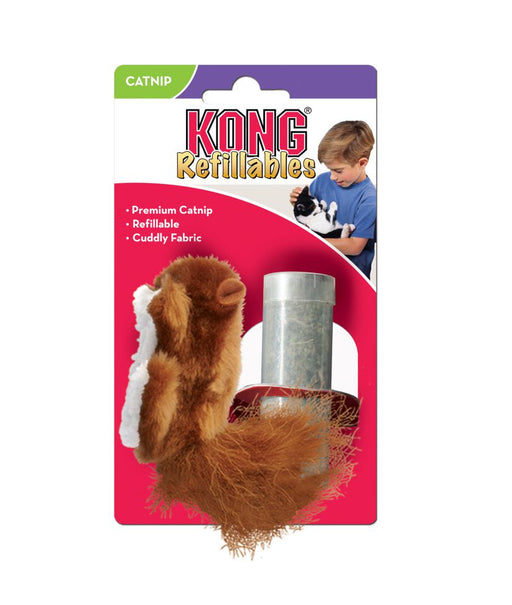 Kong - Squirrel - PetProject.HK