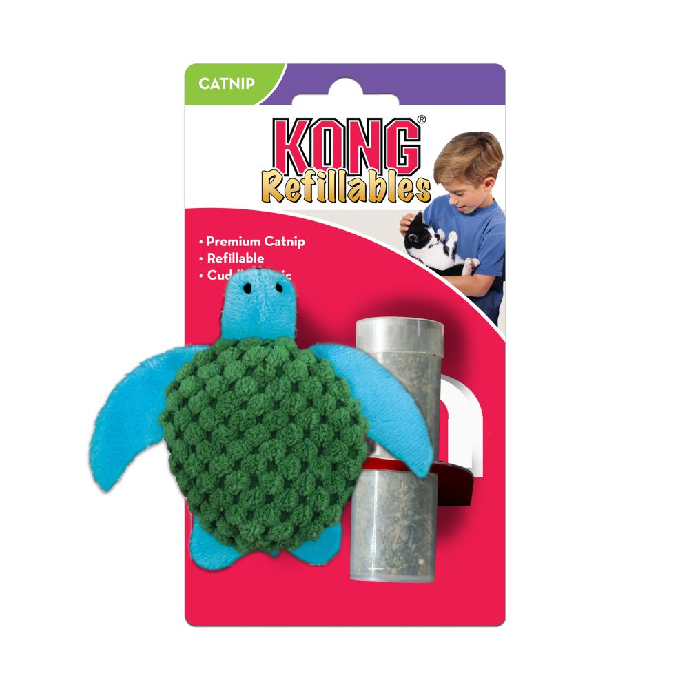 Kong - Turtle - PetProject.HK