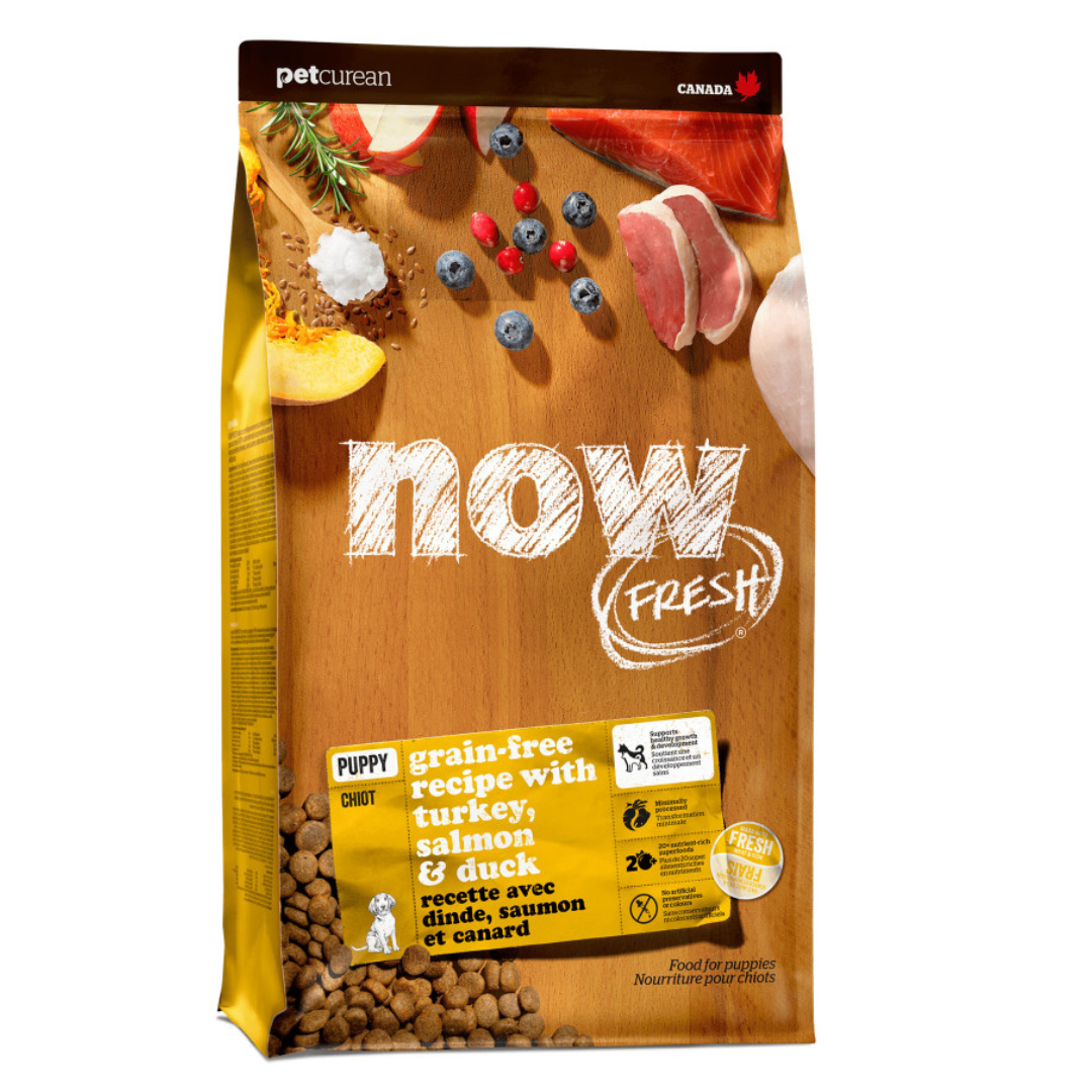Now Fresh - GRAIN FREE Puppy Dry Dog Food - Turkey, Salmon & Duck - 22LB - PetProject.HK