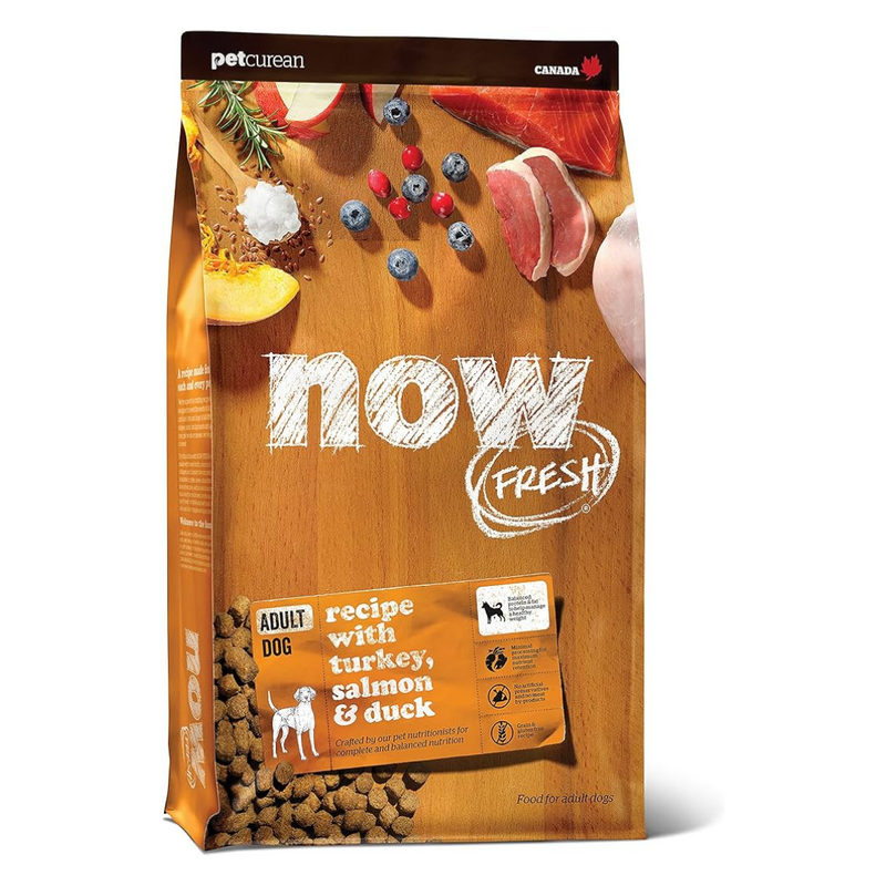 Now Fresh - 無穀物成犬乾糧 - 火雞、鮭魚和鴨肉 - 12磅