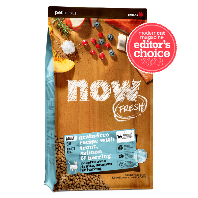 Now Fresh - Grain Free Fish Meat Adult Dry Cat Food Trout Salmon & Herring 8Lb Cats