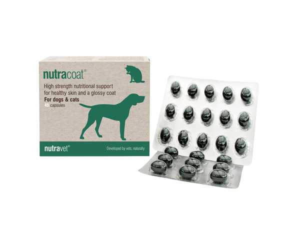 Nutravet - Nutracoat for Skin & Coat - 45CAP - PetProject.HK