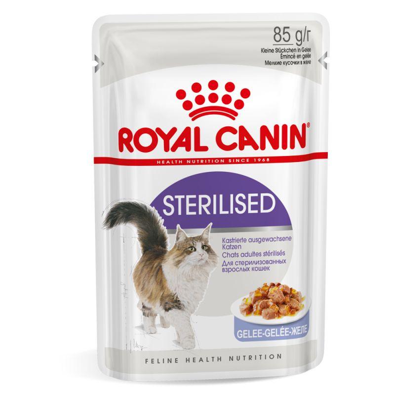 Royal Canin - Adult Cat Wet Food - Sterilised in Jelly Pouch - 85G (Box of 12) - PetProject.HK