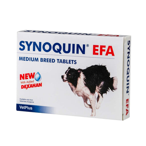 VetPlus - SYNOQUIN EFA for Dogs Joint Support 10-25kg - 90TAB - PetProject.HK
