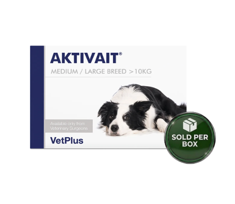 VetPlus - Aktivait - Brain Health Supplement for Dogs >10kg 60's - 1 Box