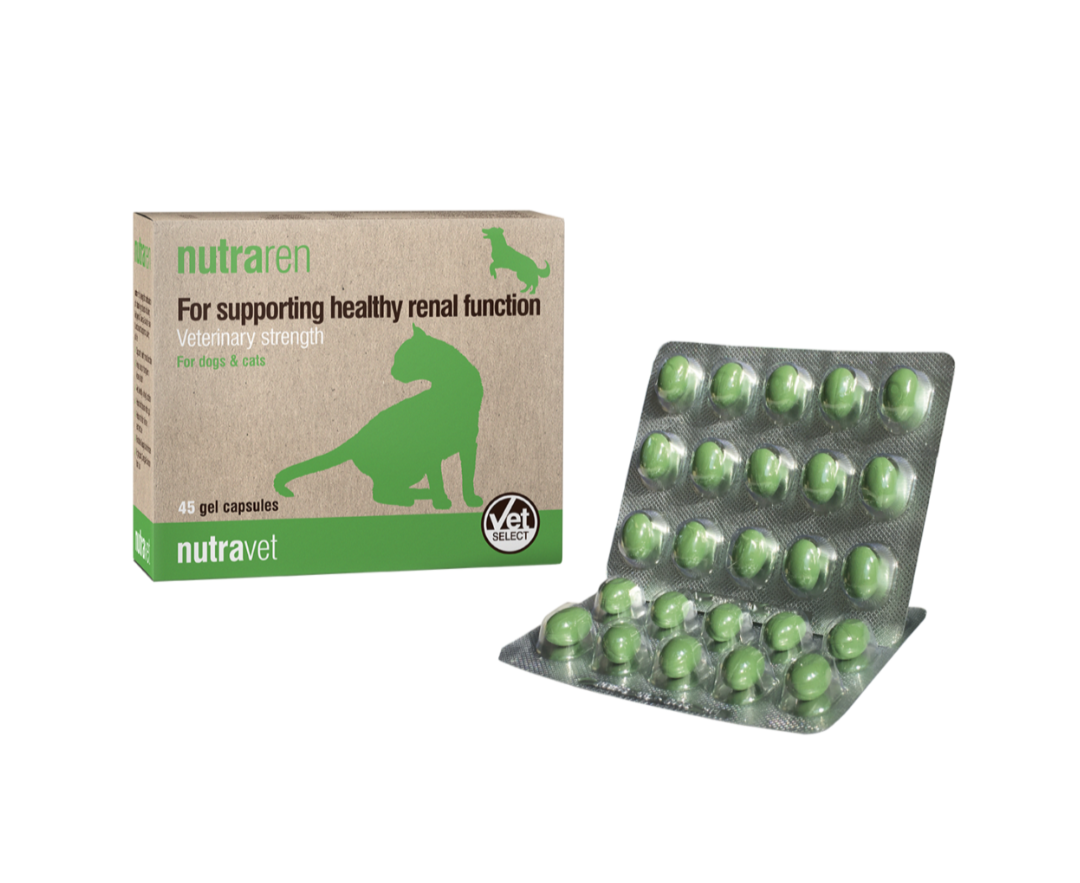 Nutravet - 狗和貓補充品 - Nutraren 腎臟支持 - 45 粒膠囊