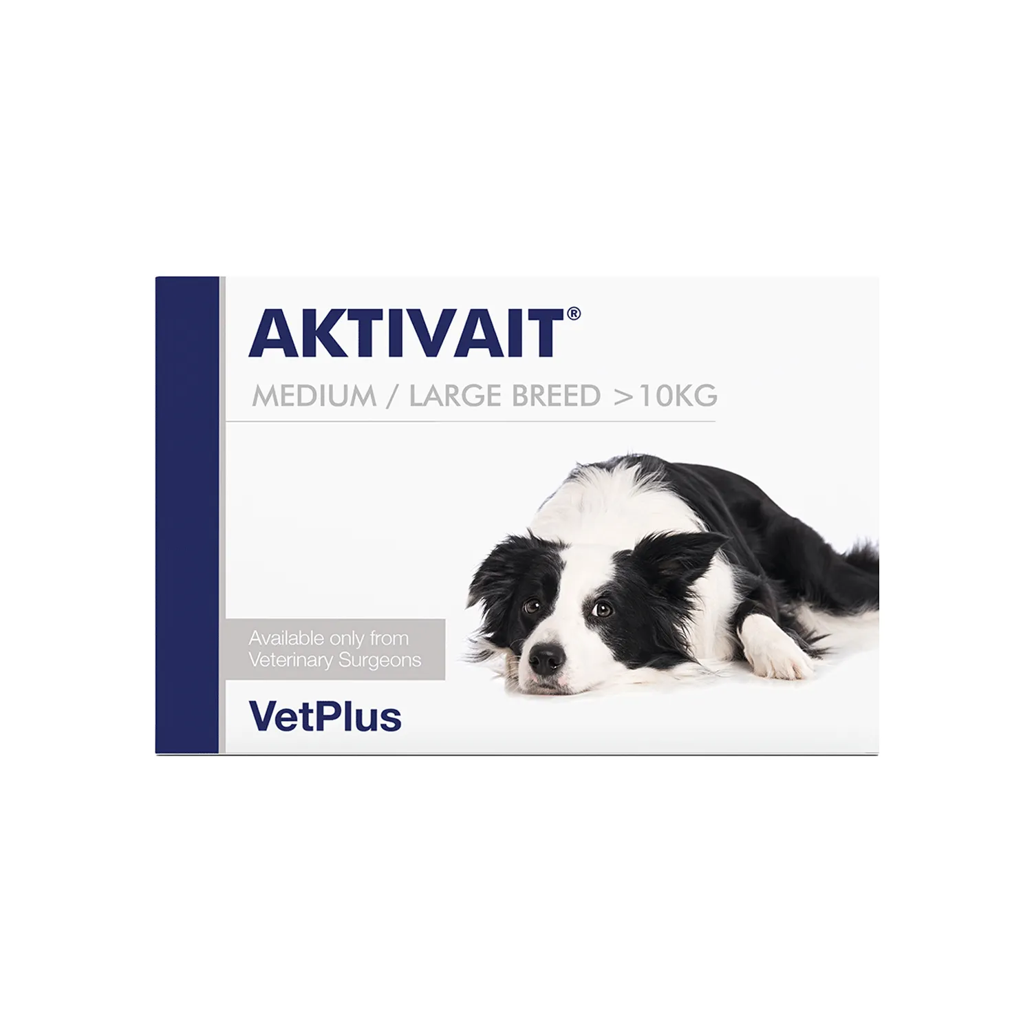VetPlus - Aktivait - Brain Health Supplement for Dogs >10kg - 1 Capsule (pack of 60)