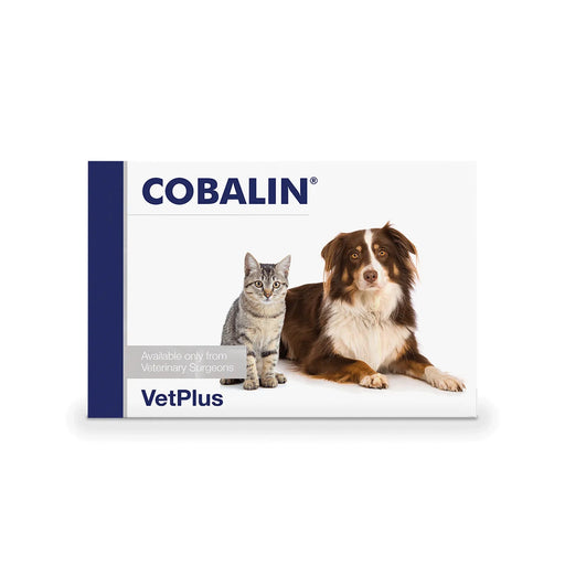 VetPlus - Cobalin - Vitamin B12 Supplement for Dogs & Cats - 1 Capsule (pack of 60)