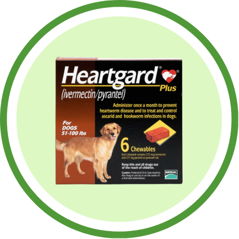 Heartworm