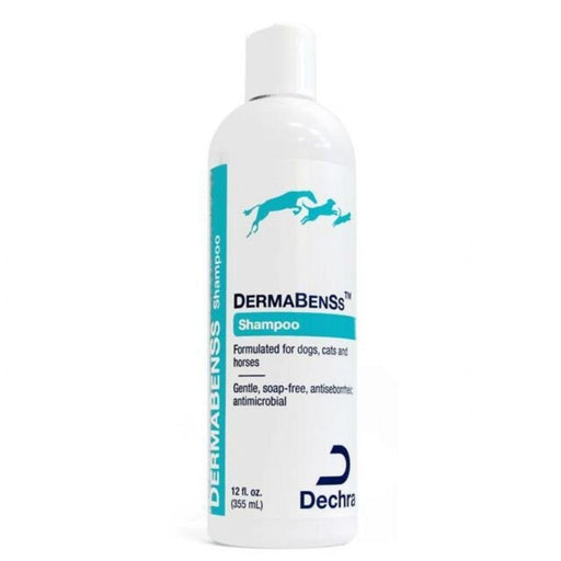 Dechra - DermaBenSs - Shampoo - 12oz