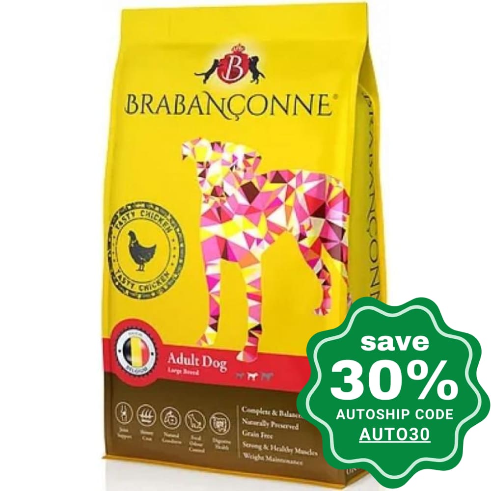 Brabanconne - Regular Diet - Adult Dog Large Breed Tasty Chicken - 10KG - PetProject.HK